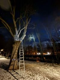 Strom ohrožoval chodce a cyklisty na stezce podél Chrudimky v Pardubicích