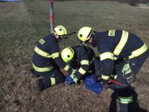 Srnec se zamotal parohy do elektrického ohradníku