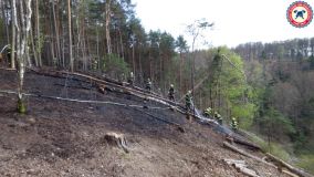 Likvidace požáru lesa v prudkém svahu u obce Brdo byla pro hasiče náročná, museli si poradit bez techniky