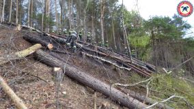 Likvidace požáru lesa v prudkém svahu u obce Brdo byla pro hasiče náročná, museli si poradit bez techniky