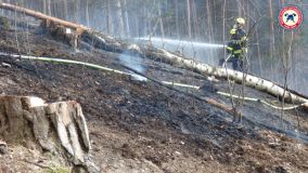 Likvidace požáru lesa v prudkém svahu u obce Brdo byla pro hasiče náročná, museli si poradit bez techniky