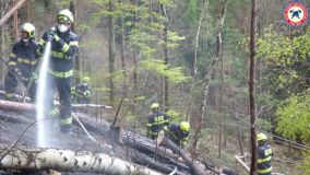 Likvidace požáru lesa v prudkém svahu u obce Brdo byla pro hasiče náročná, museli si poradit bez techniky