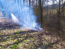 Hasiči likvidovali v pondělí několik požárů trávy a porostu