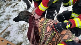 Hasiči zachraňovali psa z Duhového jezera