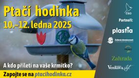 Lidé v Česku budou tento víkend sčítat ptáky u krmítek, zapojte se i vy. Lze přitom vyhrát některou z tematických cen