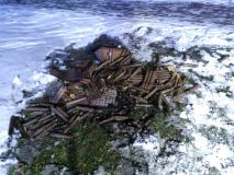 Rušný konec roku, bez hasičů to opět nešlo. Vyjížděli ke čtyřiceti mimořádným událostem