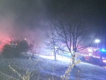 Psy a hospodářská zvířata zachraňovali hasiči při požáru v Dětřichově.  V Běstvině hořela stodola