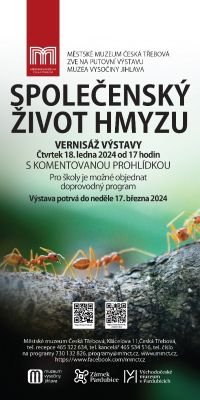 Foto: Svět hmyzu a jejich společenský život, i insektária s živým hmyzem, jsou k vidění na výstavě v České Třebové