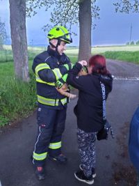 Hasiči zachraňovali hned třikrát chlupatá stvoření se špatným odhadem výšky