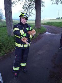 Hasiči zachraňovali hned třikrát chlupatá stvoření se špatným odhadem výšky