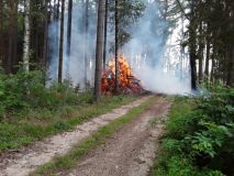 V Darebnících hořelo v lese klestí na hromadě po těžbě, v Horním Třešňovci chytla sláma v kravíně, kde bylo 160 býků