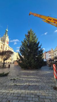 Z Nemošic dnes doputoval na Pernštýnské náměstí symbol Vánoc