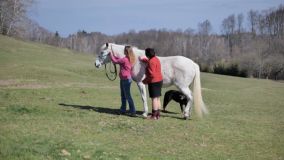 Čin hodný ocenění: Rozsáhlé pátrání po zmateném seniorovi. Našla ho však místní obyvatelka se svojí kobylkou as psem