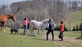 Čin hodný ocenění: Rozsáhlé pátrání po zmateném seniorovi. Našla ho však místní obyvatelka se svojí kobylkou as psem