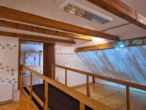 Tip na výlet: Muzeum ve Švýcárně zve celoročně nejenom k poznání starokladrubských vraníků