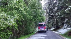 Hasiči varují: Sníh ohýbá větve stromů, některé vozovky mohou být neprůjezdné