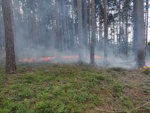 Hasičská pohotovost na Svitavsku: Dvanáct jednotek bylo povoláno k rozsáhlému požáru lesa