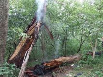 Chtěli romantiku v přírodě, udělali si táboráček. Plameny se vymkly kontrole a přeskočily na okolní vegetaci