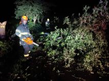 Noční bouře kácela stromy, došlo i ke zranění osoby