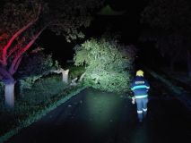 Noční bouře kácela stromy, došlo i ke zranění osoby