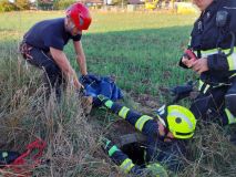 Srna spadla do skruže a z hloubky 2,5 metru neměla šanci se sama dostat