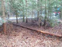 Požár ateliéru ohrožoval vedlejší rodinný dům. V ohrožení byly i děti u oběda v mateřské škole, rozhořela se zářivka. U Jelení hořel les
