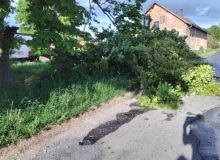 Vítr lámal větve a porážel stromy v některých částech Pardubického kraje
