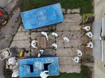 Hasiči natočili zásah v Albrechticích kvůli ptačí chřipce