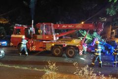 Strom spadl v Pardubicích na dvě auta