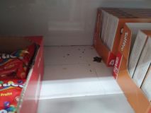 Prodejnu potravin na Trnovské uzavřela inspekce. Myši si tu pochutnávali na oplatkách v regálech