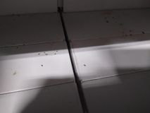 Prodejnu potravin na Trnovské uzavřela inspekce. Myši si tu pochutnávali na oplatkách v regálech