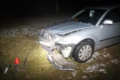 Vypila dva litry piva a usedla za volant. Zastavil jí strom