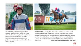 Vizitky a startovní čísla: Tito koně a žokejové se postaví na start 135. Velké pardubické se Slavia pojišťovnou