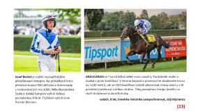 Vizitky a startovní čísla: Tito koně a žokejové se postaví na start 135. Velké pardubické se Slavia pojišťovnou