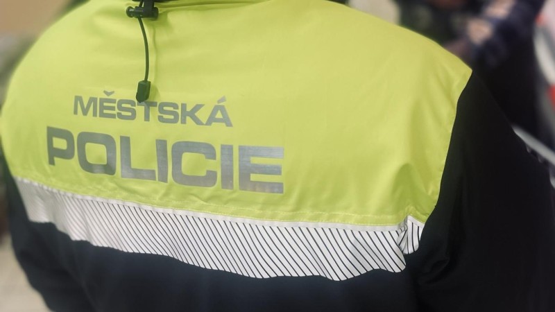 ilustračn&iacute; foto Městsk&aacute; policie Pardubice
