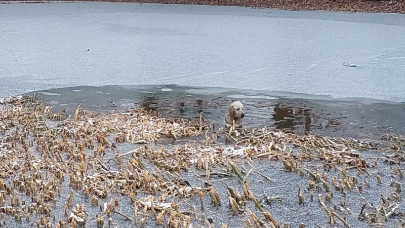 foto HZS Pardubick&yacute; kraj