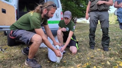 Čápi se uzdravili, mohli se vrátit do volné přírody