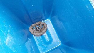 foto HZS Pardubický kraj