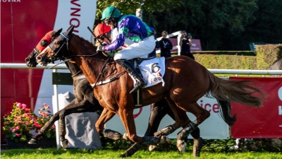 135. Velká pardubická se Slavia pojišťovnou: Doprava, parkování a další informace přehledně