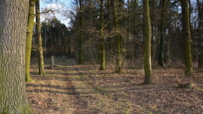 Pardubice obnoví lesní cestu ve Svítkovském lese. Město chystá také studii protipovodňových opatření na Chrudimce a Bylance