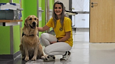 Chtěla vychovaného psa, na cvičáku objevila jeho talent a společně začali navštěvovat pacienty v nemocnici