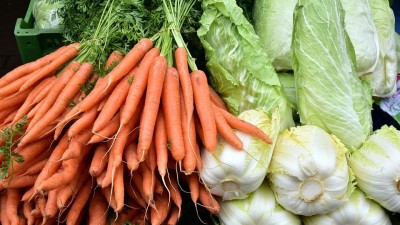 Kraj chce podpořit nákup kvalitních místních potravin pro stravování ve školách, nemocnicích a dalších krajských organizacích