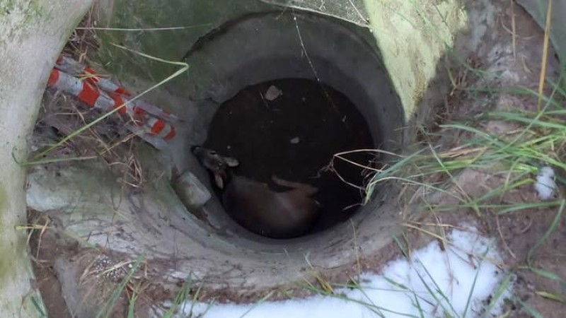 foto HZS Pardubický kraj