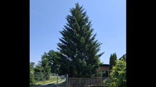 foto zdroj Město Pardubice