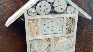 Děti v pardubických mateřských školách budou moc pozorovat život hmyzu v domečkách