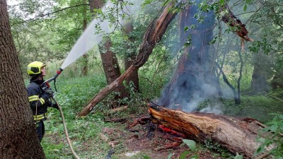 Chtěli romantiku v přírodě, udělali si táboráček. Plameny se vymkly kontrole a přeskočily na okolní vegetaci