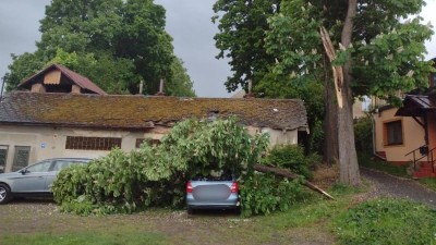 Vítr lámal větve a porážel stromy v některých částech Pardubického kraje