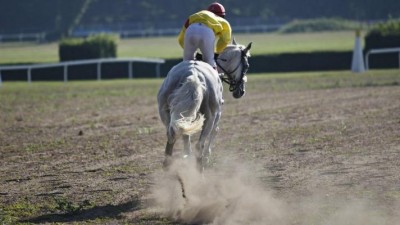 V květnu se na dostihov&eacute;m z&aacute;vodi&scaron;ti v&nbsp;Pardubic&iacute;ch budou konat tři velk&eacute; akce