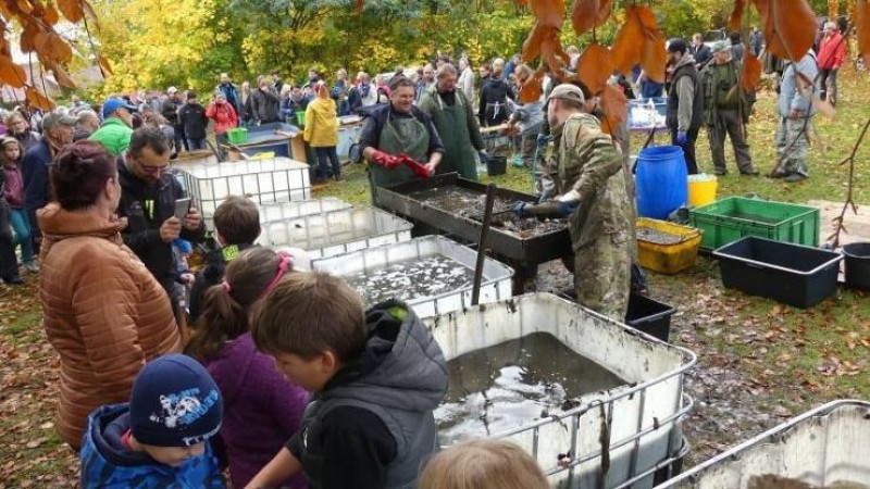 ilustrační foto, zdroj archiv e-deníky