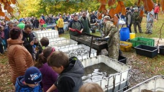 ilustrační foto, zdroj archiv e-deníky